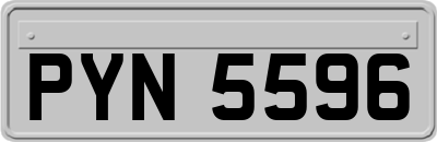 PYN5596