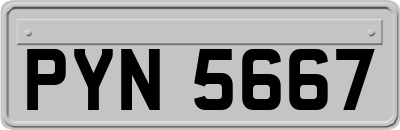 PYN5667