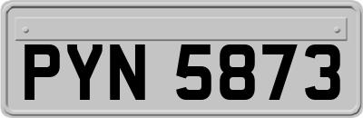 PYN5873