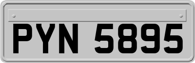 PYN5895