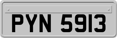 PYN5913