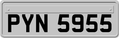 PYN5955