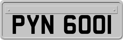 PYN6001