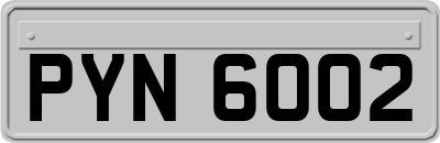 PYN6002