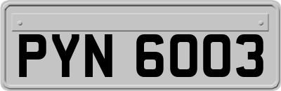 PYN6003