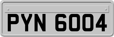 PYN6004