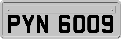 PYN6009