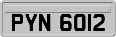 PYN6012