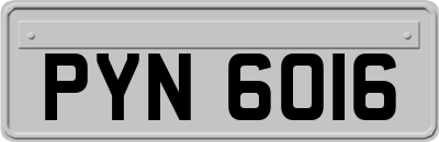 PYN6016