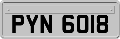 PYN6018