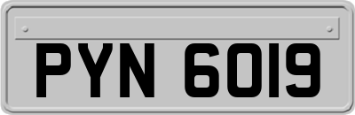 PYN6019