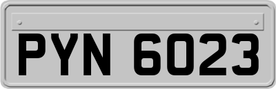 PYN6023