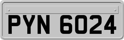 PYN6024