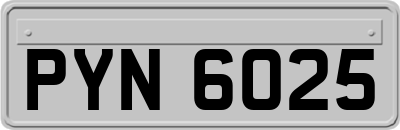 PYN6025