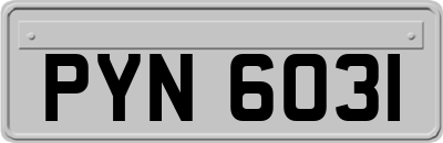 PYN6031