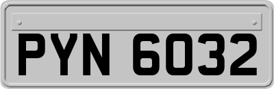 PYN6032