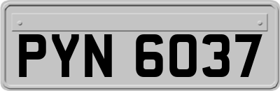 PYN6037