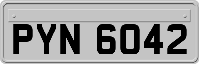 PYN6042