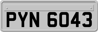 PYN6043