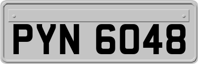 PYN6048