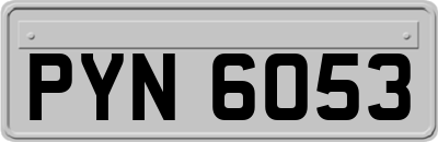 PYN6053