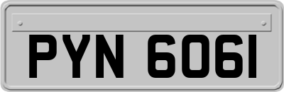 PYN6061