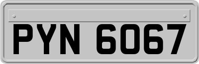 PYN6067