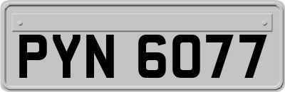 PYN6077