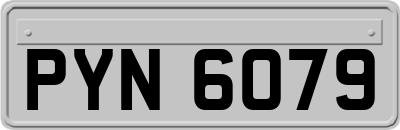 PYN6079