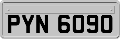 PYN6090