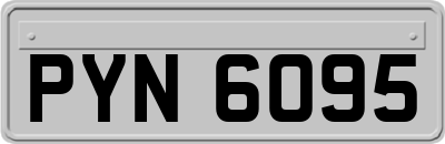 PYN6095