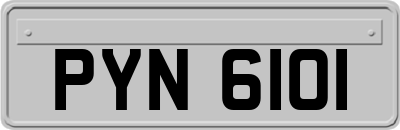 PYN6101