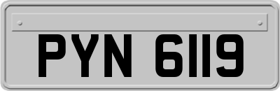 PYN6119