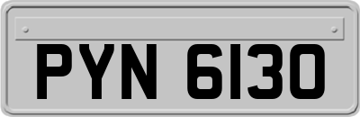 PYN6130