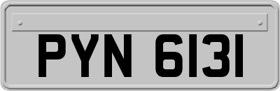 PYN6131