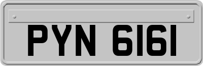 PYN6161