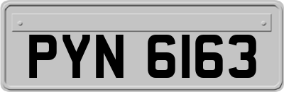 PYN6163