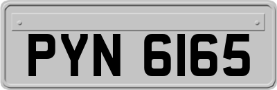 PYN6165