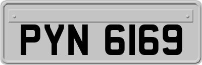 PYN6169