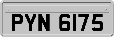 PYN6175