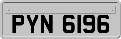 PYN6196