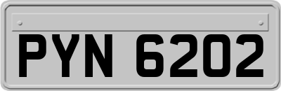 PYN6202