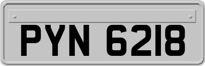 PYN6218