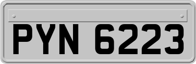 PYN6223