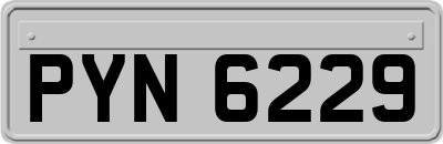 PYN6229