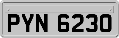 PYN6230