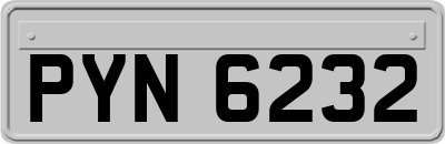 PYN6232