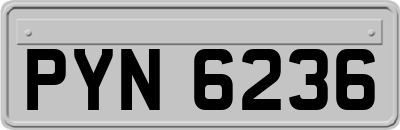 PYN6236