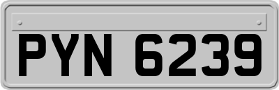 PYN6239