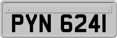 PYN6241